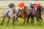 Andreas Wohler Ready for 2014 Herbert Power Stakes Following 10 Year Absence