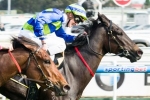 Gregers Heads 2013 Moonee Valley Fillies Classic Nominations
