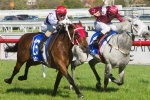 Tattersall’s Cup 2013 Nominations Out
