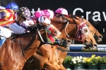 Under The Louvre Tops 2015 Moonga Stakes Field & Odds