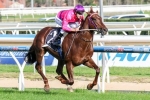 2014 Caulfield Guineas Day Scratchings & Track Report