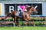 Rodd hoping for better barrier for Rich Enuff in 2014 Caulfield Guineas