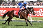 141 Nominations Taken for 2017 Ladbrokes Cox Plate