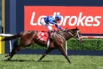 2017 Warwick Stakes Day Scratchings & Track Report