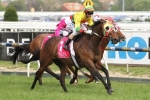Lucky Hussler Flying Ahead of 2016 Magic Millions Cup
