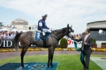 2014 Cox Plate Day Scratchings & Track Report