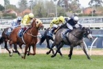 2014 Melbourne Cup Barrier Not Important for Fawkner