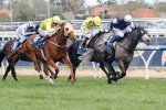 Fawkner Could Feature in 2014 Zipping Classic