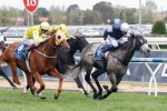 Fawkner in “Perfect Order” Ahead of 2014 Melbourne Cup