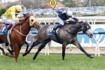 2014 Melbourne Cup Quinella Betting