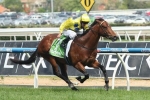 Rubick Impresses in Trackwork Ahead of 2015 The Galaxy