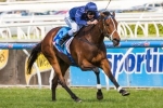 Atlantic Jewel Out of 2013 Cox Plate – If Track Wet