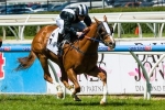 Missy Longstocking onto Coolmore after 2013 Thoroughbred Club Stakes Win