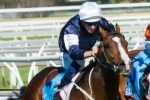 2014 Caulfield Cup Wide Draw Ideal for Sea Moon