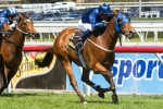 2014 Winterbottom Stakes Nominations Feature Buffering