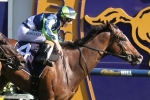 Keen Array Heads 2015 Red Anchor Stakes Nominations