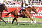 Gailo Chop all the way winner in Ladbrokes Stakes, Cox Plate next