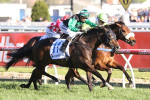 First up specialist Super Cash wins Schillaci Stakes