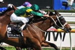 Doomben Cup 2013 Tips & Exotic Selections