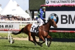 Melbourne Cup Day 2016: Flemington Scratchings & Track Report