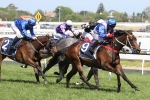 2015 Wakeful Stakes Tips & Selections