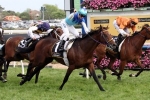 2014 Melbourne Cup Form Guide & Preview