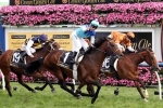 Will Rising Romance Go One Better in 2015 Caulfield Cup Result?