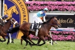 2014 Melbourne Cup Facts & Stats
