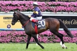 Araldo Looks to Bypass Derby Day for 2014 Melbourne Cup Start