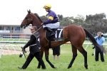 2014 Queen Elizabeth Stakes Betting Tips & Selections