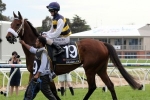 Moody Won’t Change Tactics with Brambles in 2014 Mackinnon Stakes