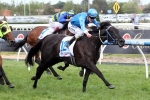 Fontein Ruby Will Not Receive 2014 Cox Plate Late Entry