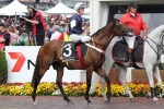 Green Moon Out of Melbourne Cup 2014 – Araldo Gains Start