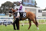 Oliver To Ride Mutual Regard in 2014 Melbourne Cup