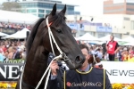 Can Lucia Valentina Complete Turnbull Stakes/Melbourne Cup 2014 Double?