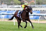 Lucky Hussler Will Not Run in 2014 Railway Stakes