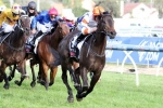 2014 Alinghi Stakes Results: The Messina Nymph Wins for the McEvoys