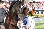 Will Dandino Go The Distance In The 2013 Melbourne Cup?