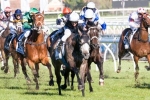 Williams Could Have a Dozen in 2014 Melbourne Cup Field