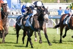 2013 Caulfield Cup Results – Fawkner Wins For Lloyd Williams