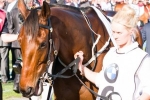 2015 Perth Cup Field & Barriers – Real Love in Five