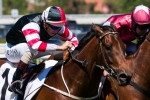 2013 Victoria Derby Barrier Draw – Favourites Out Wide