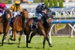 Myer Classic 2013 Odds – Red Tracer Firm Favourite