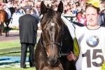 Silent Achiever out of 2013 Melbourne Cup Field