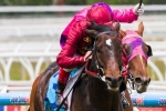 Caravan Rolls On a Likely Starter for 2014 Lexus Stakes