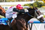Floria Favourite in 2014 Sunline Stakes Betting