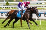 2013 Sandown Guineas Results – Paximadia Gives Darley Another Win