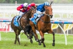 Nordic Empire Officially Scratched From 2014 Magic Millions Field