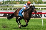 Le Roi Early 2013 The BMW Betting Market Mover
