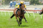 Waratone Primed For Adelaide Cup 2013 Success